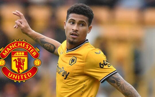 Joao Gomes to Manchester United